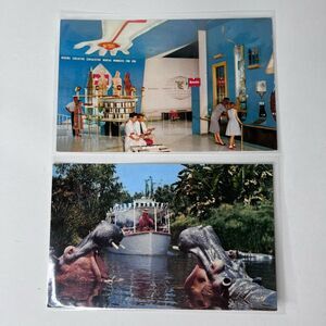 Vintage Postcard Disneyland Lot of 2 Unused Jungle Cruise Hall of Chemistry